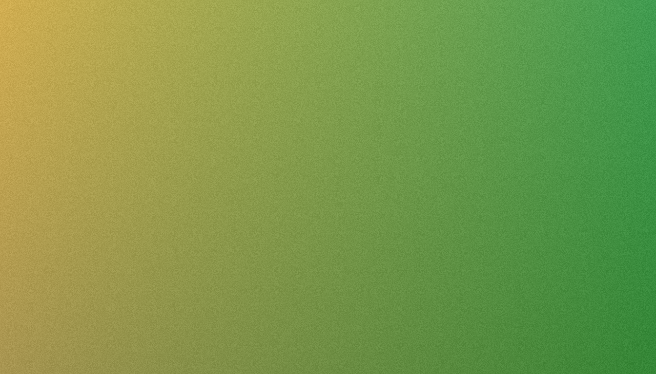 SEO Company in Dehradun: Pricing, Deliverables & Timelines